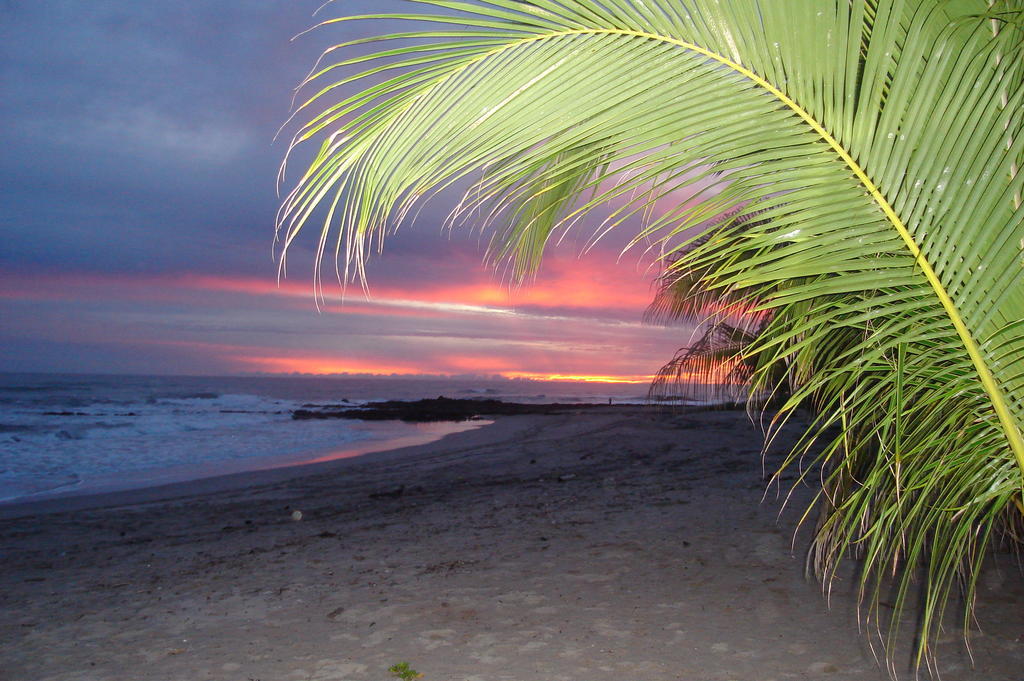 Casa Zen Guesthouse&Yoga Center Playa Santa Teresa  Exterior foto